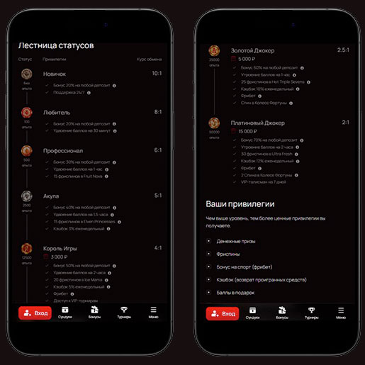 Программа лояльности